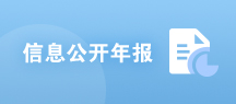 信息公開年報